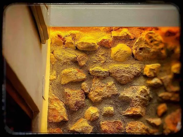 Casita Del Castillo デニア